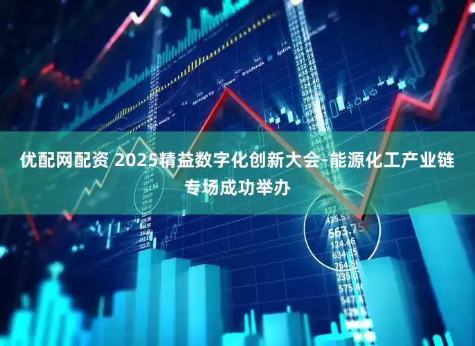 优配网配资 2025精益数字化创新大会-能源化工产业链专场成功举办